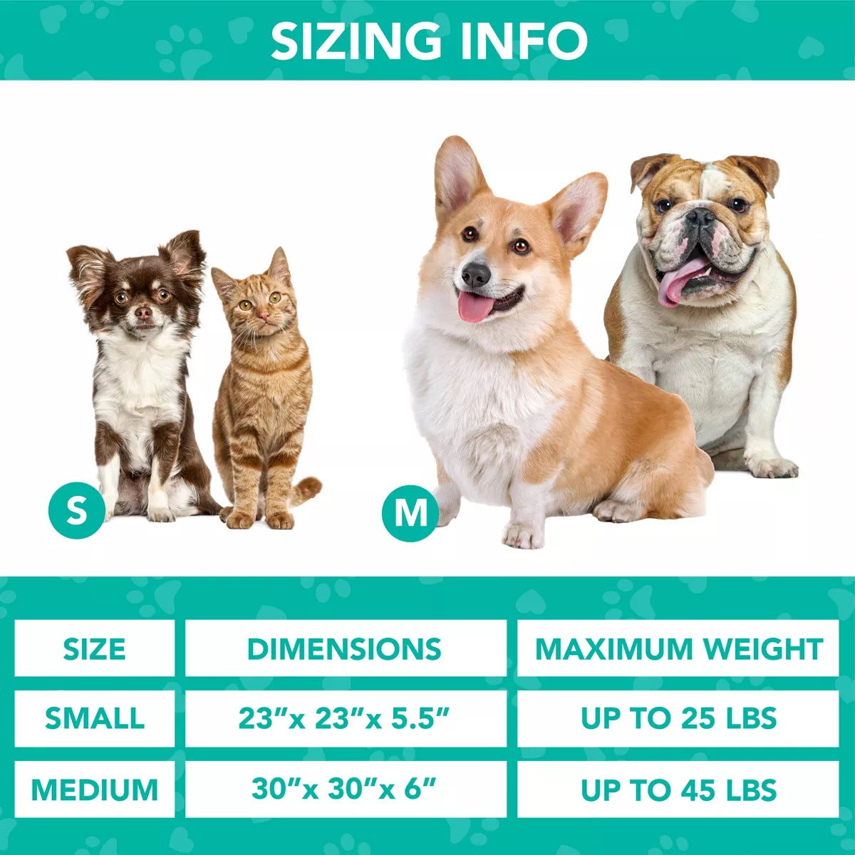 Petami Calming Dog Bed for Puppy Cat Kitten, round Washable Pet Bed, anti Anxiety Cuddler, Fluffy Plush Circular Donut Bed